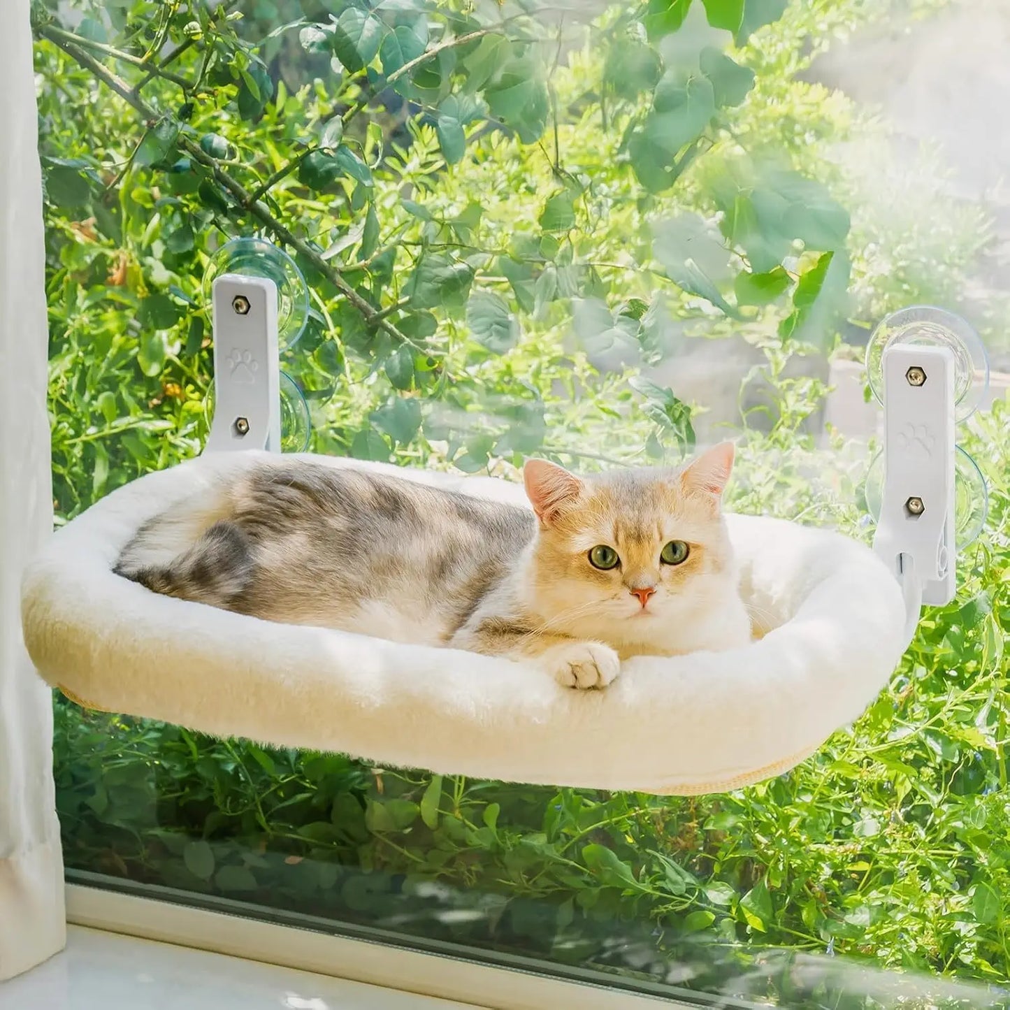 Foldable Cat Window Perch with Suction Cups & Removable Soft Cover