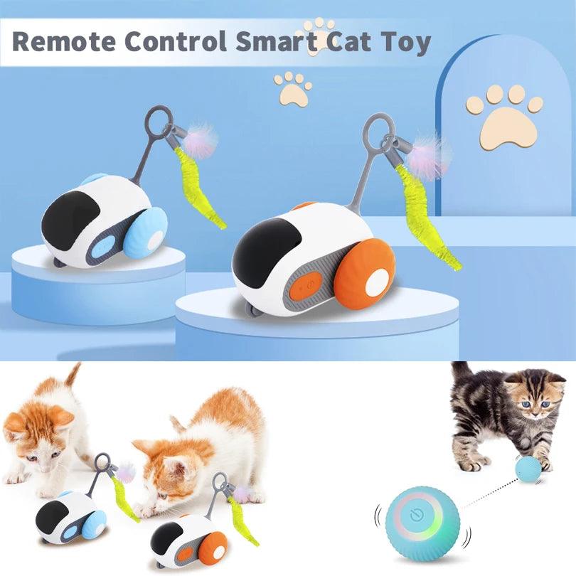 Crazy-Joy Car (Remote control electric cat toy)