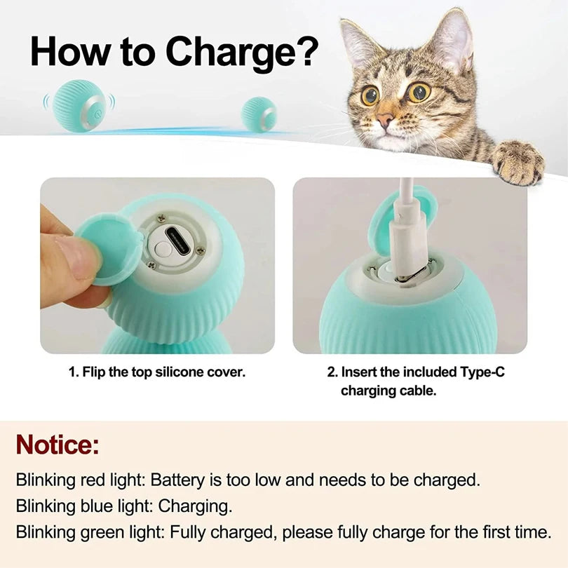 Crazy-Joy Car (Remote control electric cat toy)