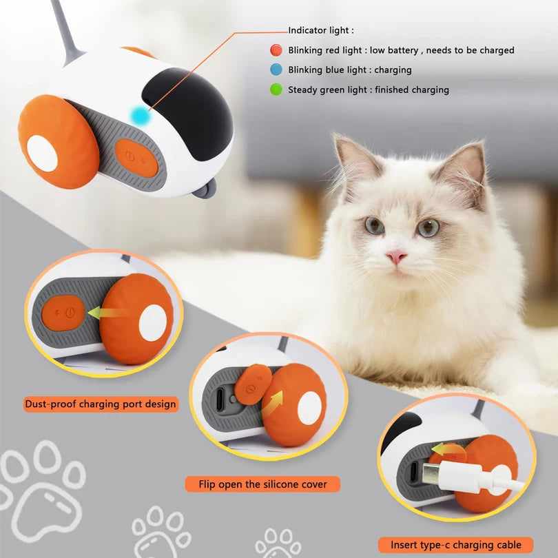 Crazy-Joy Car (Remote control electric cat toy)