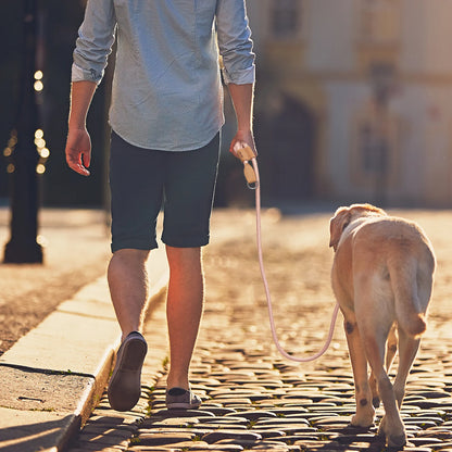 Adjustable Hands-Free P-Shape Dog Leash